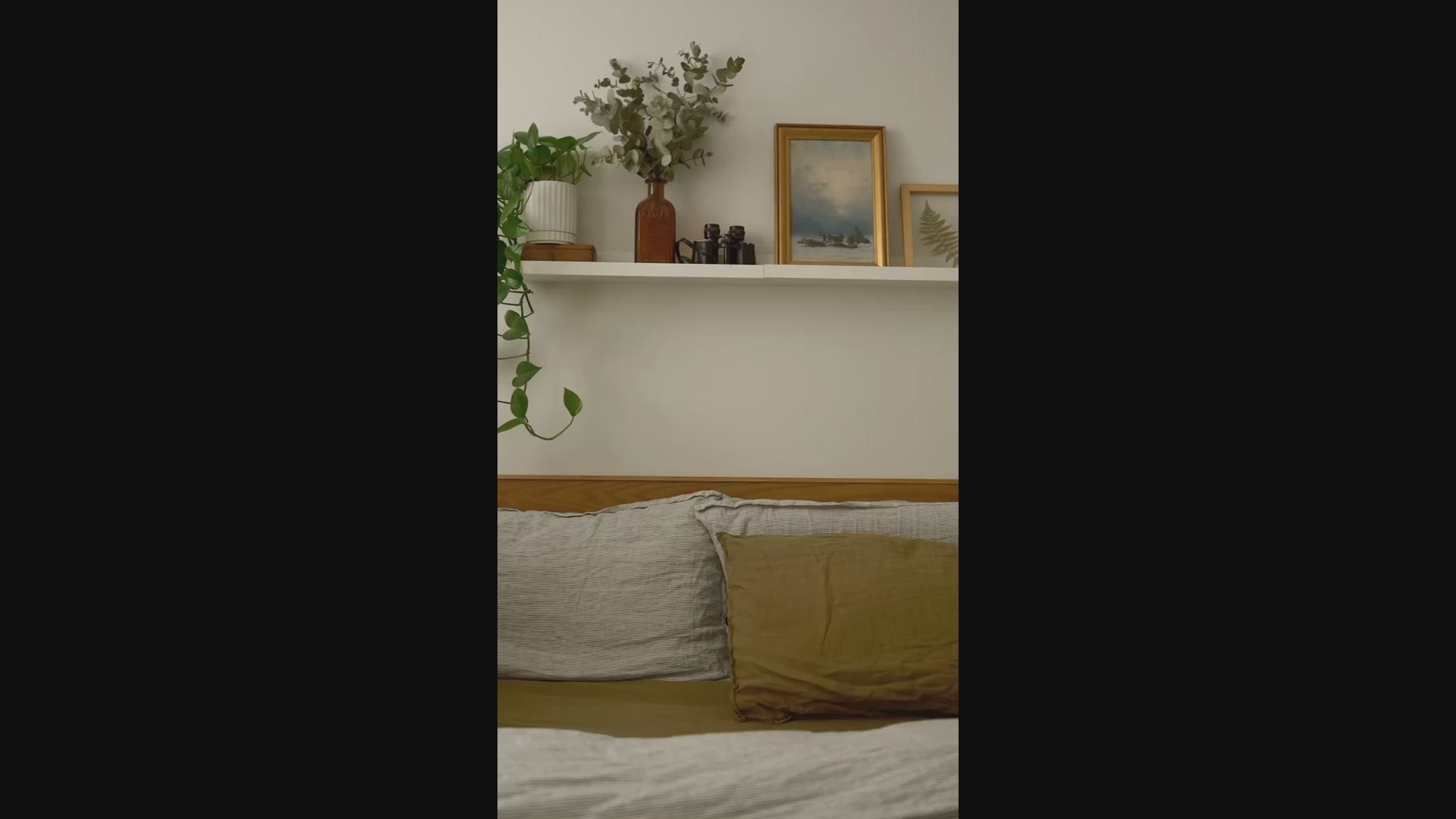 Charger la vidéo : 